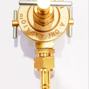 A ONE PRESTIGE LPG Regulator